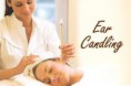 Shassim Ear Candle D314 Lavender of Dreams